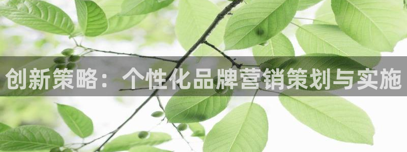 必赢手机app下载 最新版