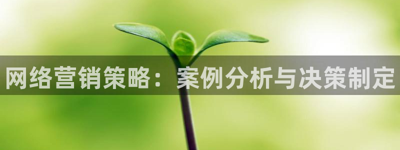 必赢8833扑鱼