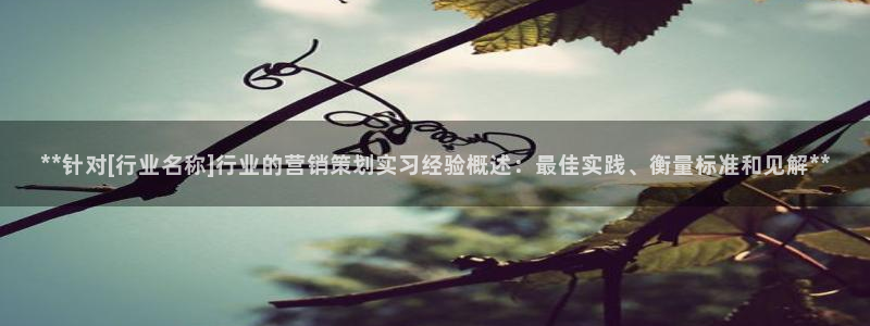 必赢网怎么打不开了呀