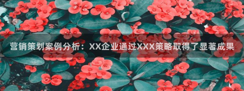 必赢网址手机主页在哪