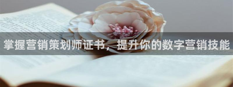 必赢这个平台怎么样可靠吗