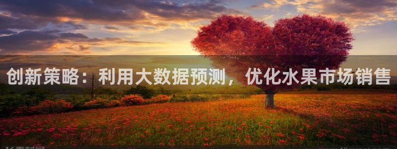 必赢网址谁知道