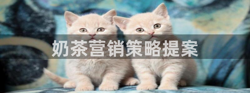 必赢官网app下载安装手机版最新版