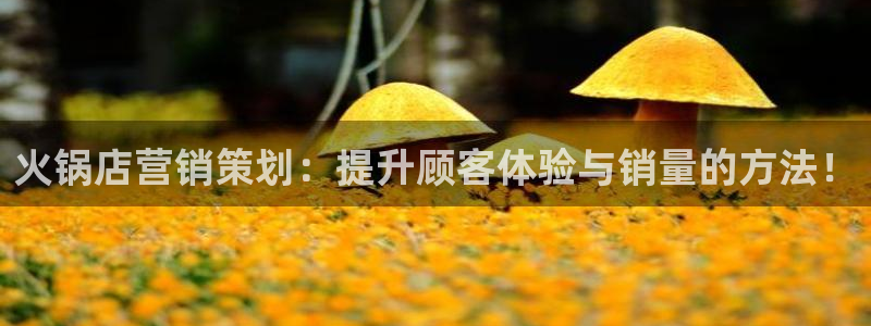 必赢88