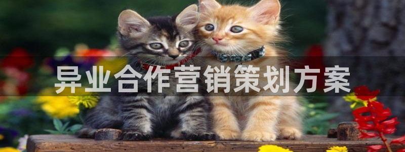 必赢亚赢网站官网下载安装