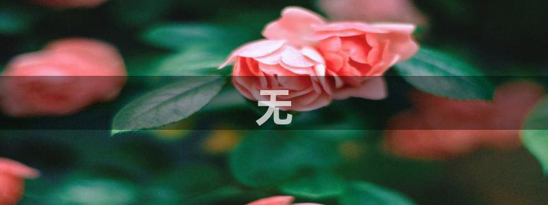 必赢766