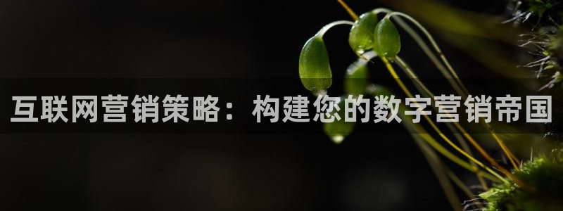 必赢官网网址多少