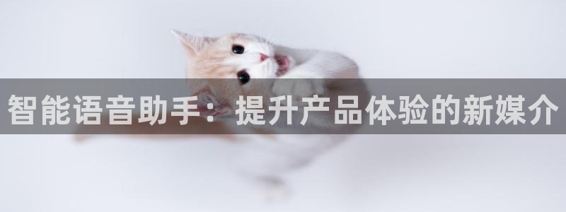 必赢官网app下载