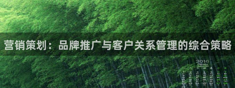 必赢3003+会员账号