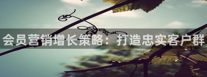 必赢平台怎么样可靠吗