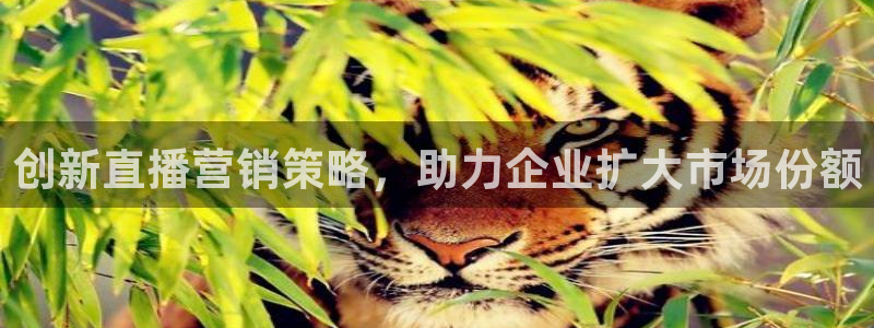 必赢手机app下载 最新版安卓苹果