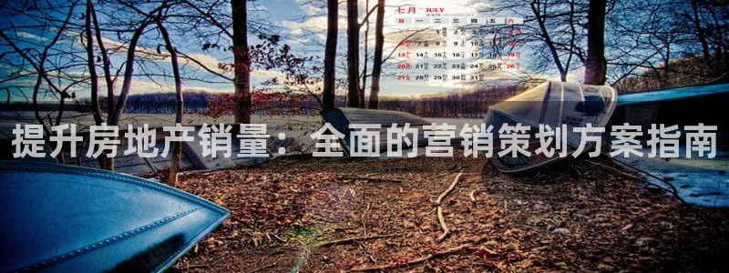 必赢网址手机主页打不开