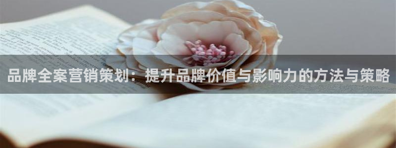 必赢国际软件下载