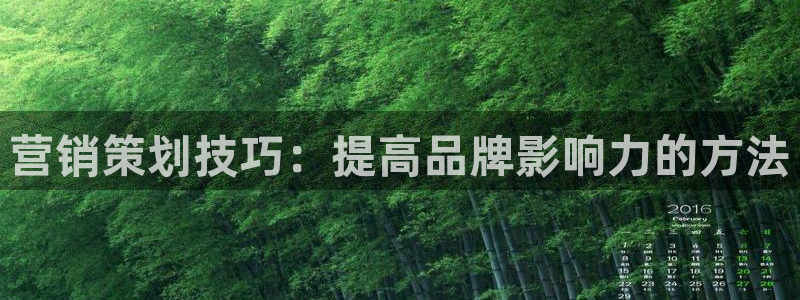 必赢app官方网站
