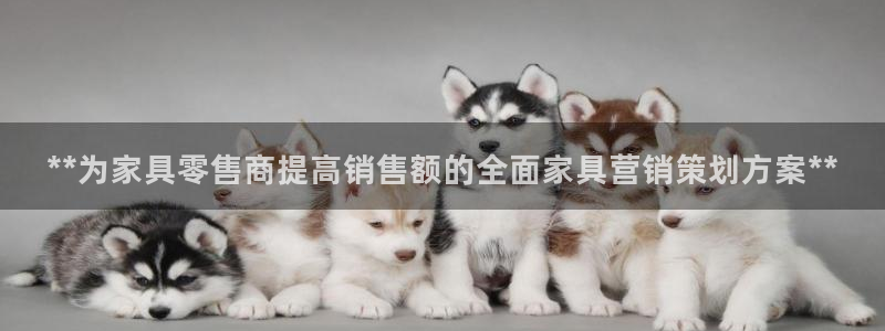 必赢科技北京有限公司