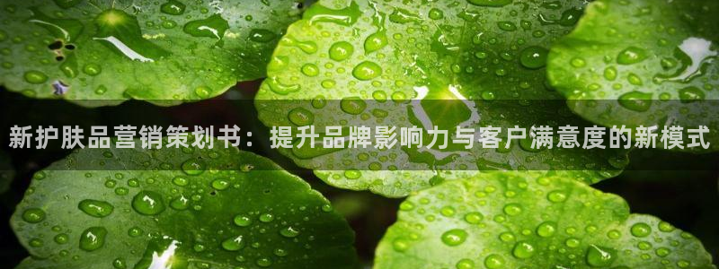 必赢app官方网站
