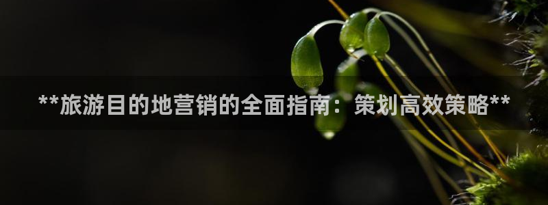 必赢766