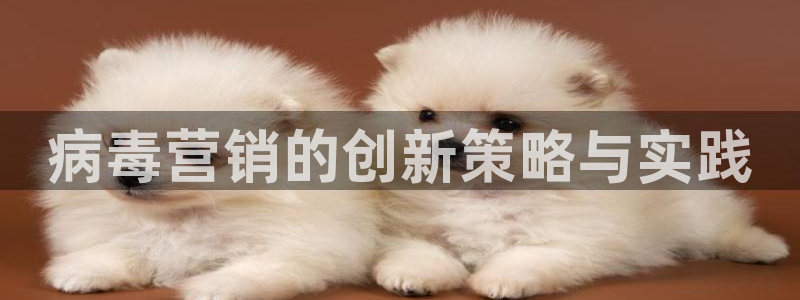 必赢线上网址查询