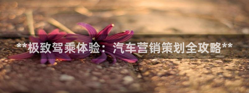 必赢官网app下载安装最新版