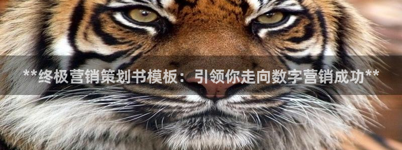 必赢官网app下载安装苹果手机