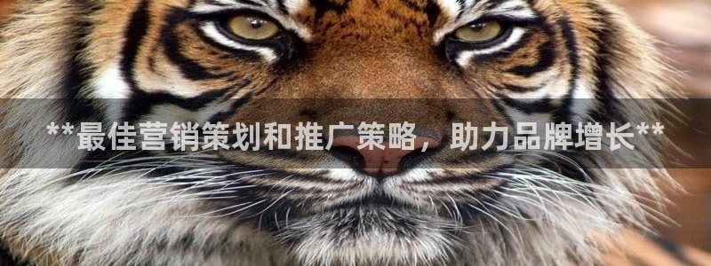 必赢下载软件