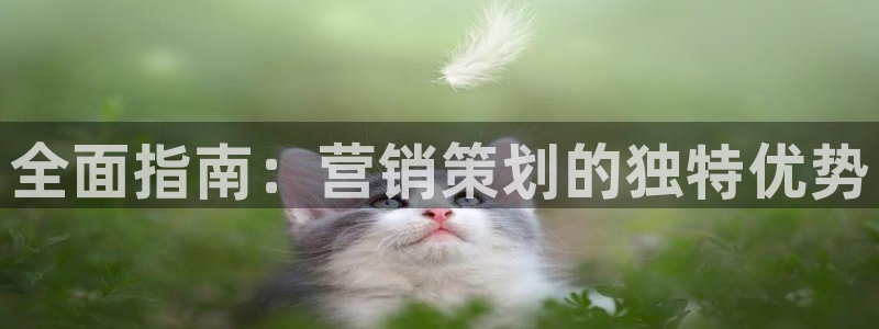 必赢国际是什么
