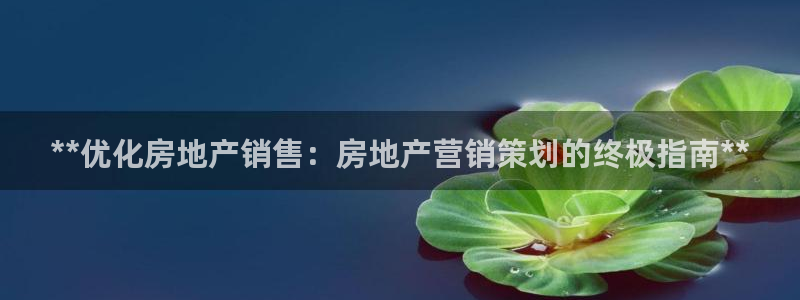 必赢线上网址查询