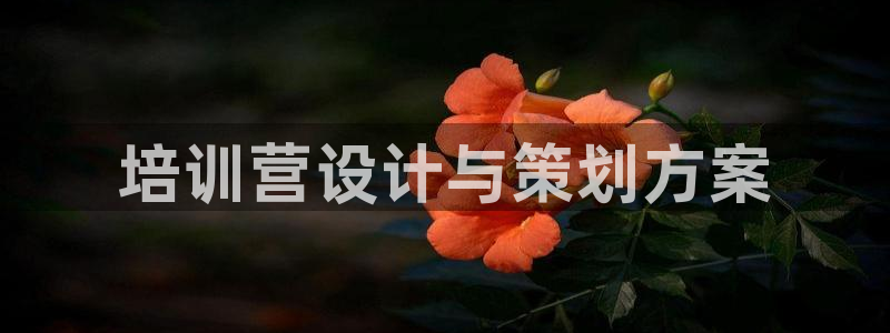 必赢网怎么打不开了