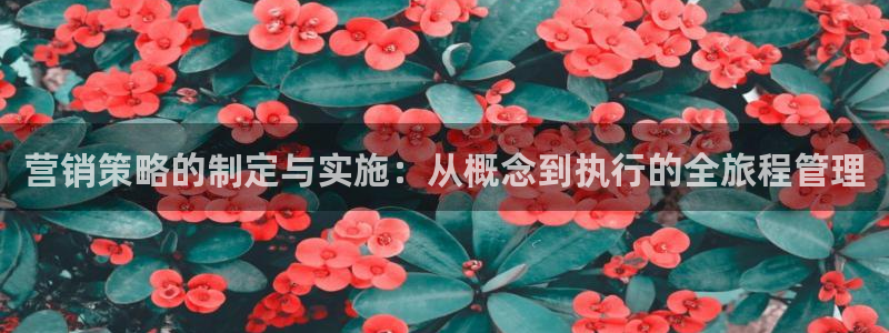 必赢下载官方