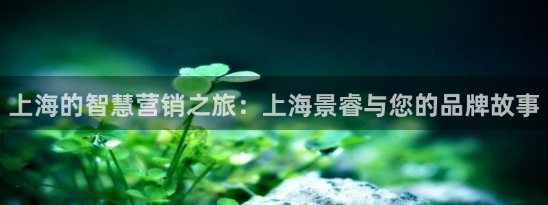 必赢8833扑鱼