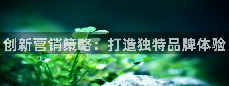 9965必赢游戏app大全