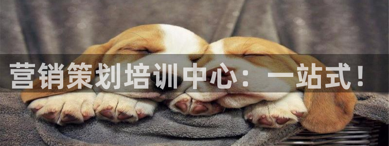 必赢官网下载安装最新版