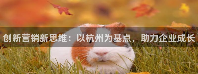 必赢app安卓版下载