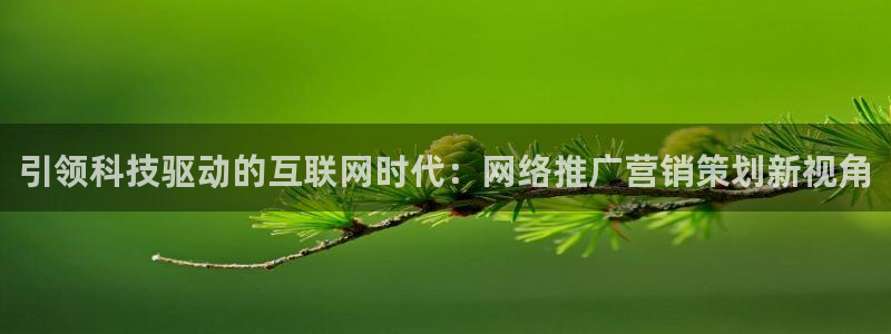必赢手机app下载 最新版安装
