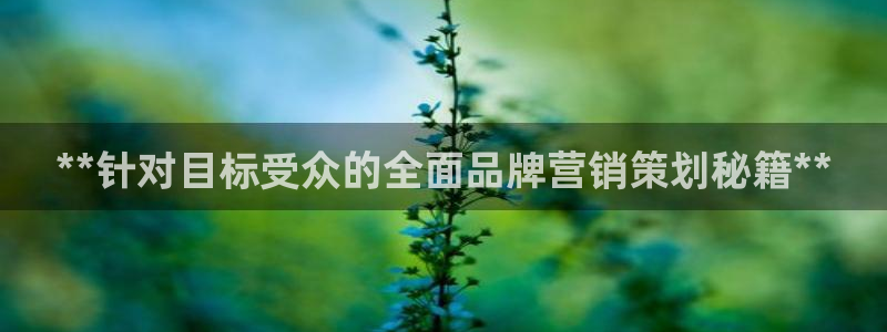 必赢棋脾