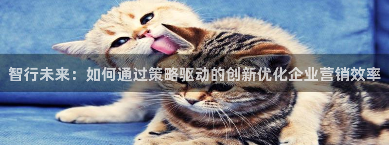 必赢qp