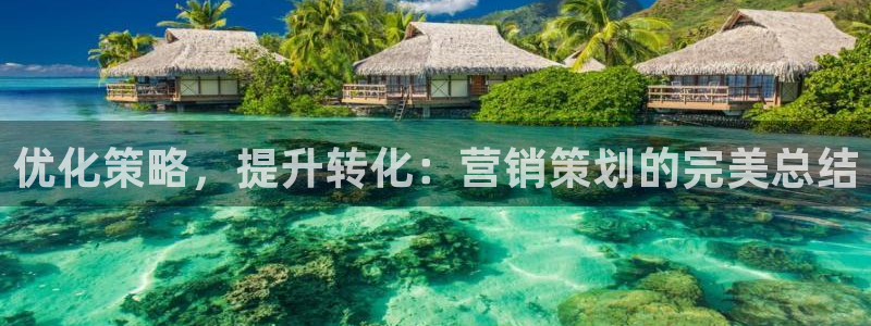 必赢下载安卓版最新版