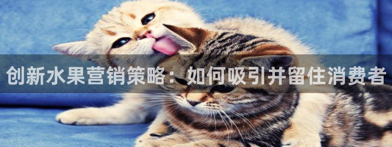 必赢官网app下载安装手机版最新版