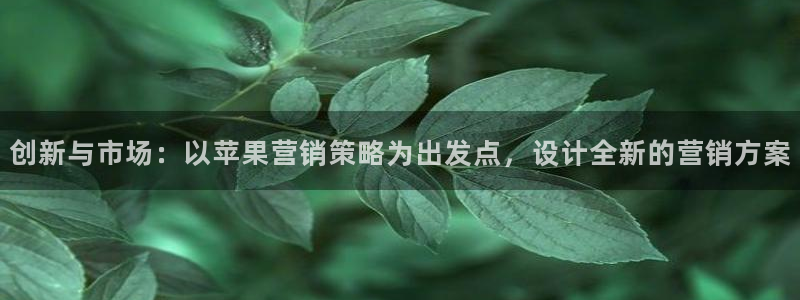 必赢官网网站入口下载