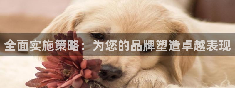 必赢这个软件怎么样知乎