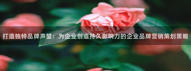 必赢官网app下载安装