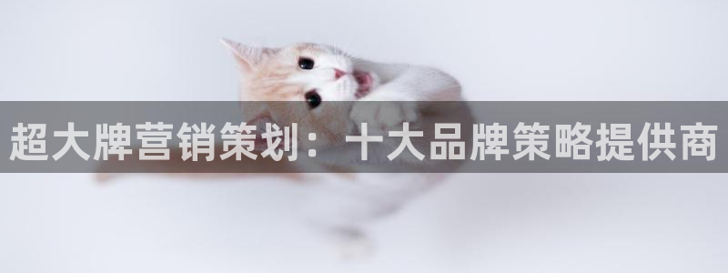 必赢官网