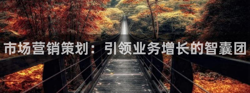 必赢官网网站首页下载