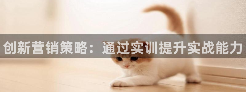 56.nt必赢官网