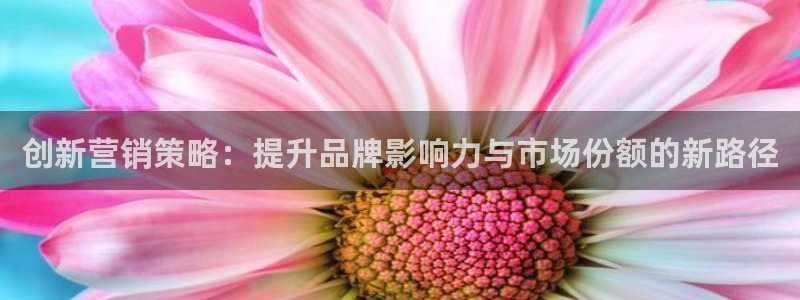 必赢国际app最新官网：创新营