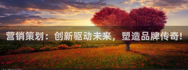 必赢网址谁知道