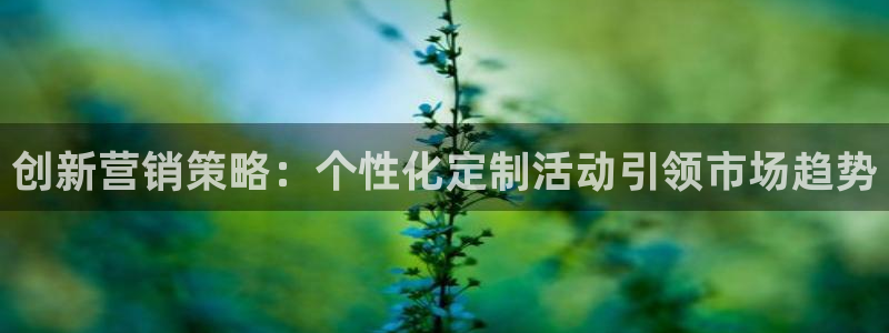 必赢官网入口下载：创新营销策略