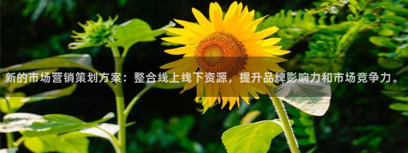 必赢官网网址多少号登录