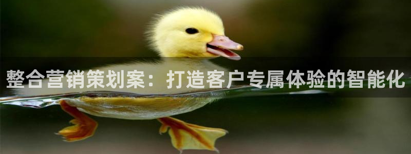 必赢平台怎么样可靠吗