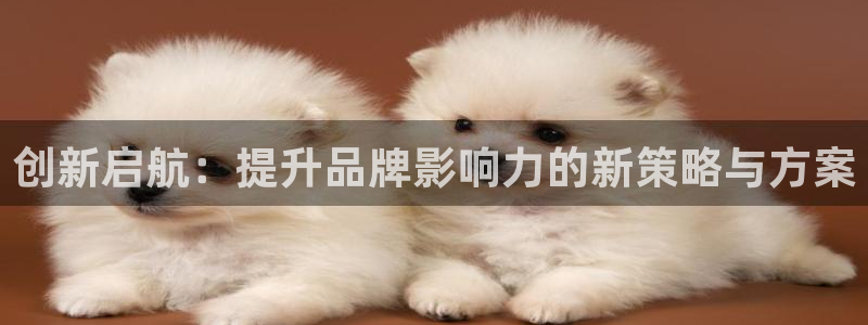 必赢国际437官方